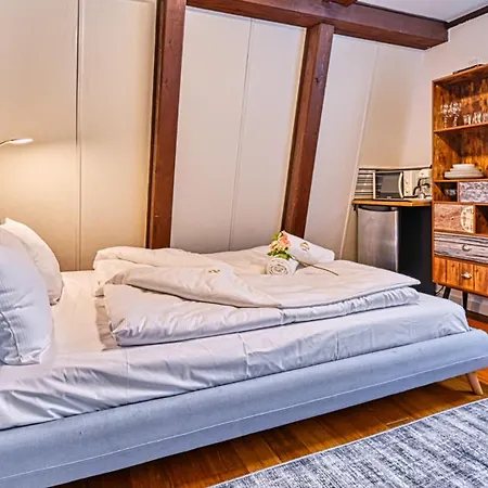 公寓 Sleepstation Karkonosze By Royal Aparts